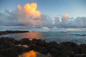 Sunrise at Turtle Bay-0809.jpg Sunrise at Turtle Bay-0809.jpg